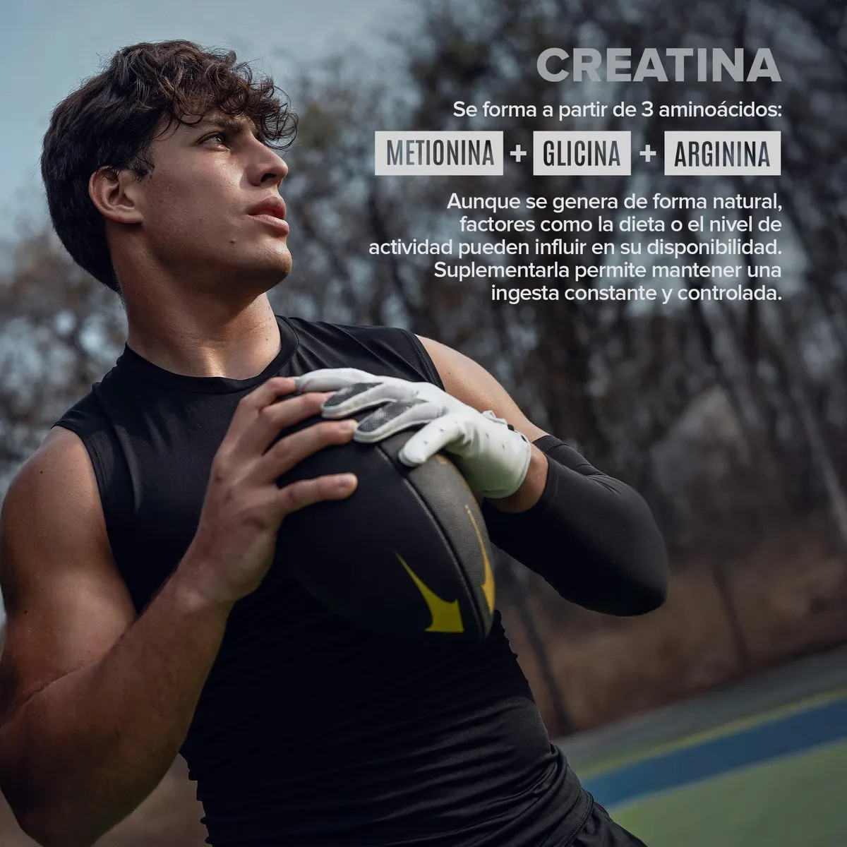 Birdman Creatina Monohidratada En Polvo de Alta Pureza Sabor Natural